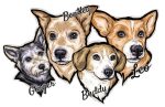 Portraits of a family of hand-painted dogs
