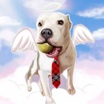Bully kutta memorial dog portrait as an angel