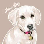Labrador Retriever image hand-drawn from a photo