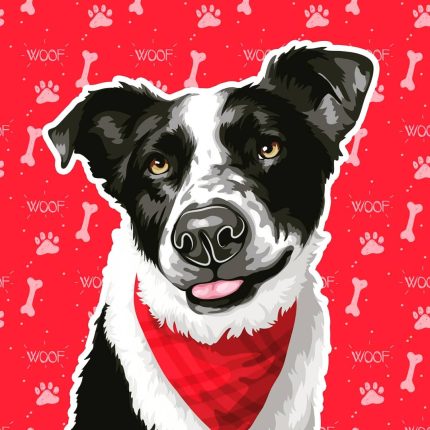 Border Collie dog portrait