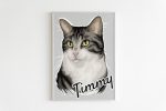 A hand-painted picture of a cat