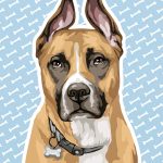 Staffordshire Terrier drawing of a dog