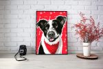 Border Collie dog creating a picture from a photo