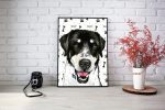 Appenzell Shepherd Dog creating a picture from a photo