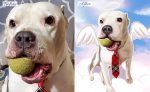 Bully kutta memorial before - after