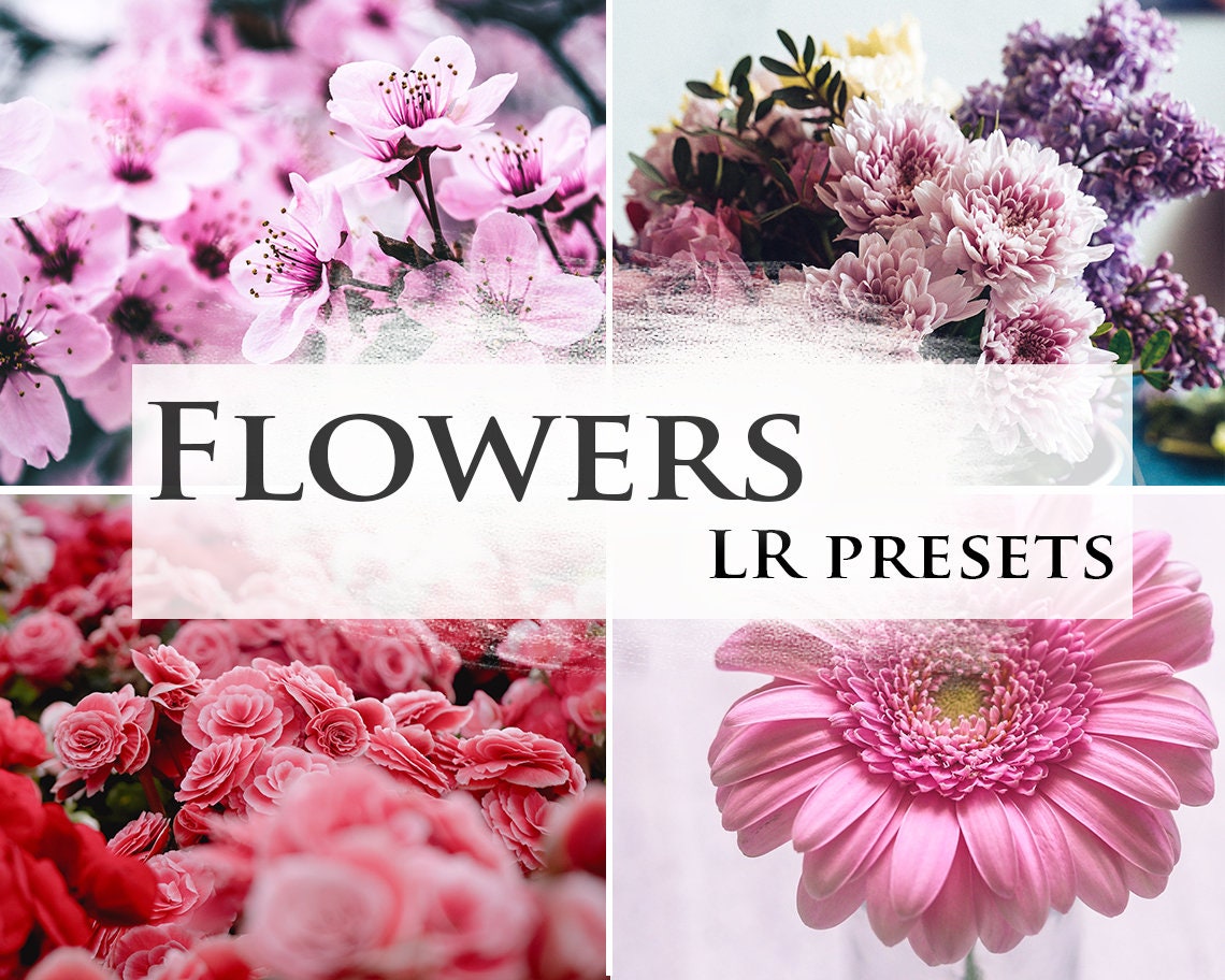 Flower Lightroom Presets Desktop & Mobile Bright for Lightroom and Instagram Flower Lightroom Presets Desktop & Mobile Bright for Lightroom and Instagram