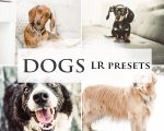 Dogs Presets Instagram & Lightroom 6 Filters Mobile