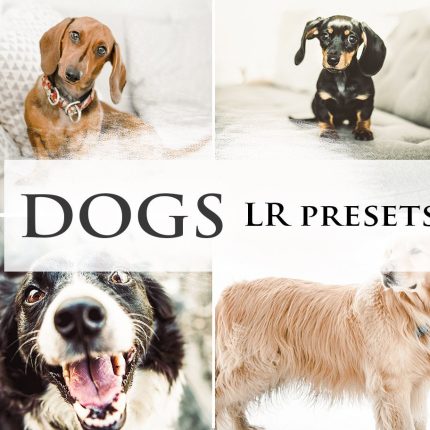 Dogs Presets Instagram & Lightroom 6 Filters Mobile