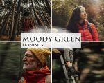 Moody Green Lightroom Presets for Travel, Portrait & Landscape