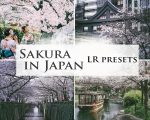 Sakura in Japan Presets for processing photos in Lightroom and Camera Raw in Photoshop