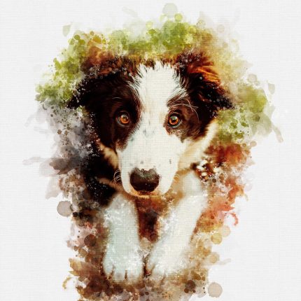 Portrait in a watercolor style for pets