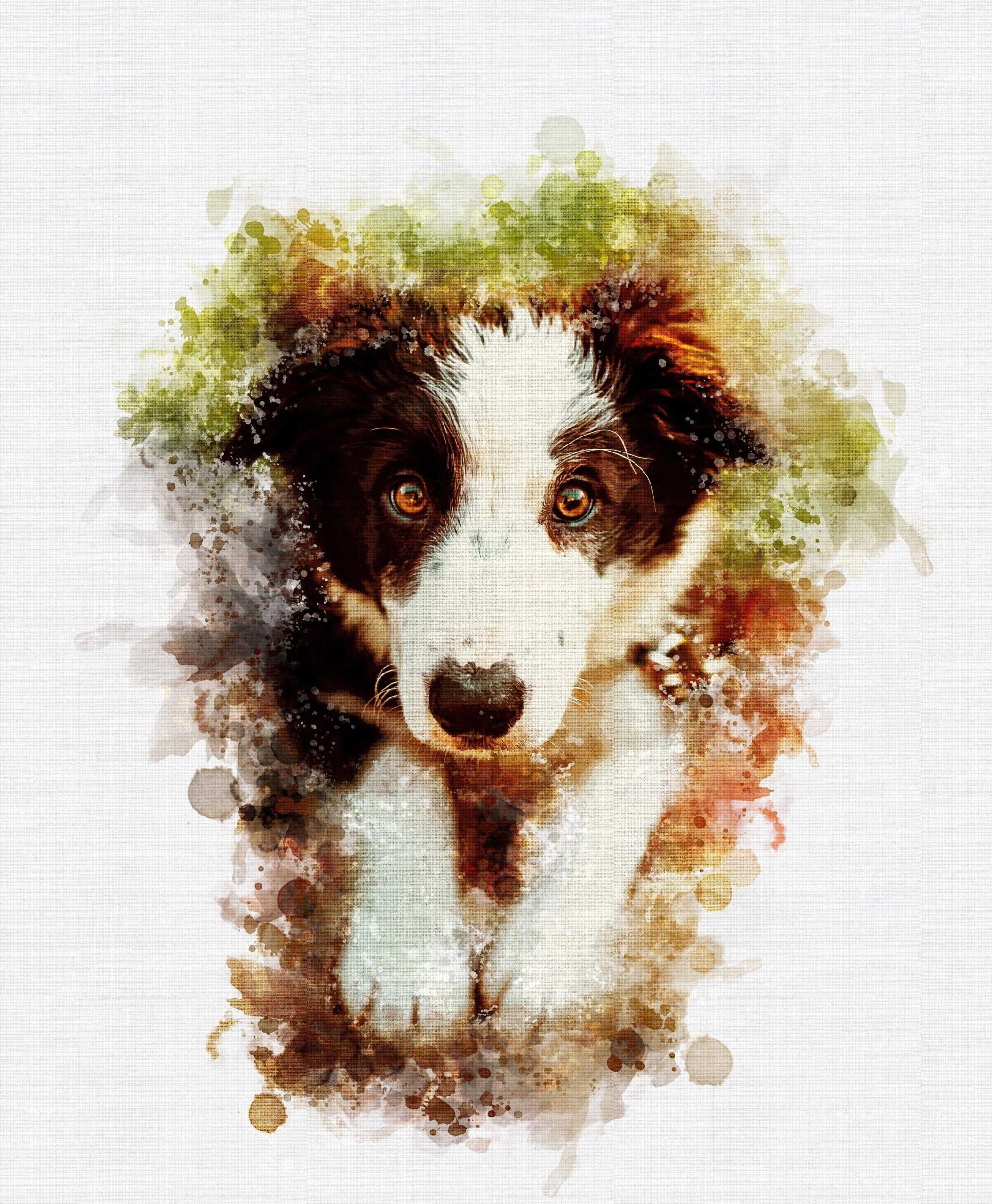 Portrait in a watercolor style for pets Portrait in a watercolor style for pets
