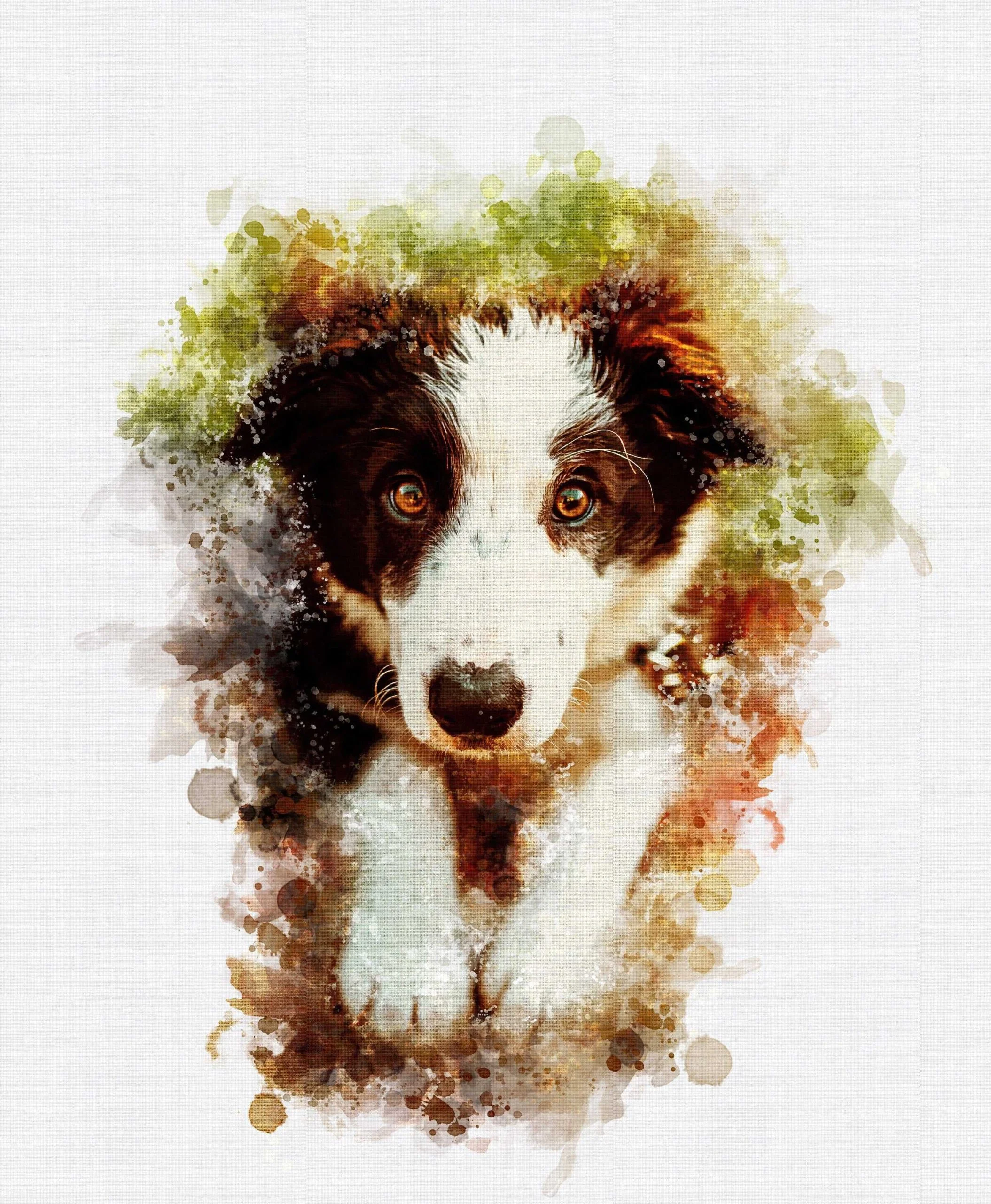 Portrait in a watercolor style for pets Portrait in a watercolor style for pets